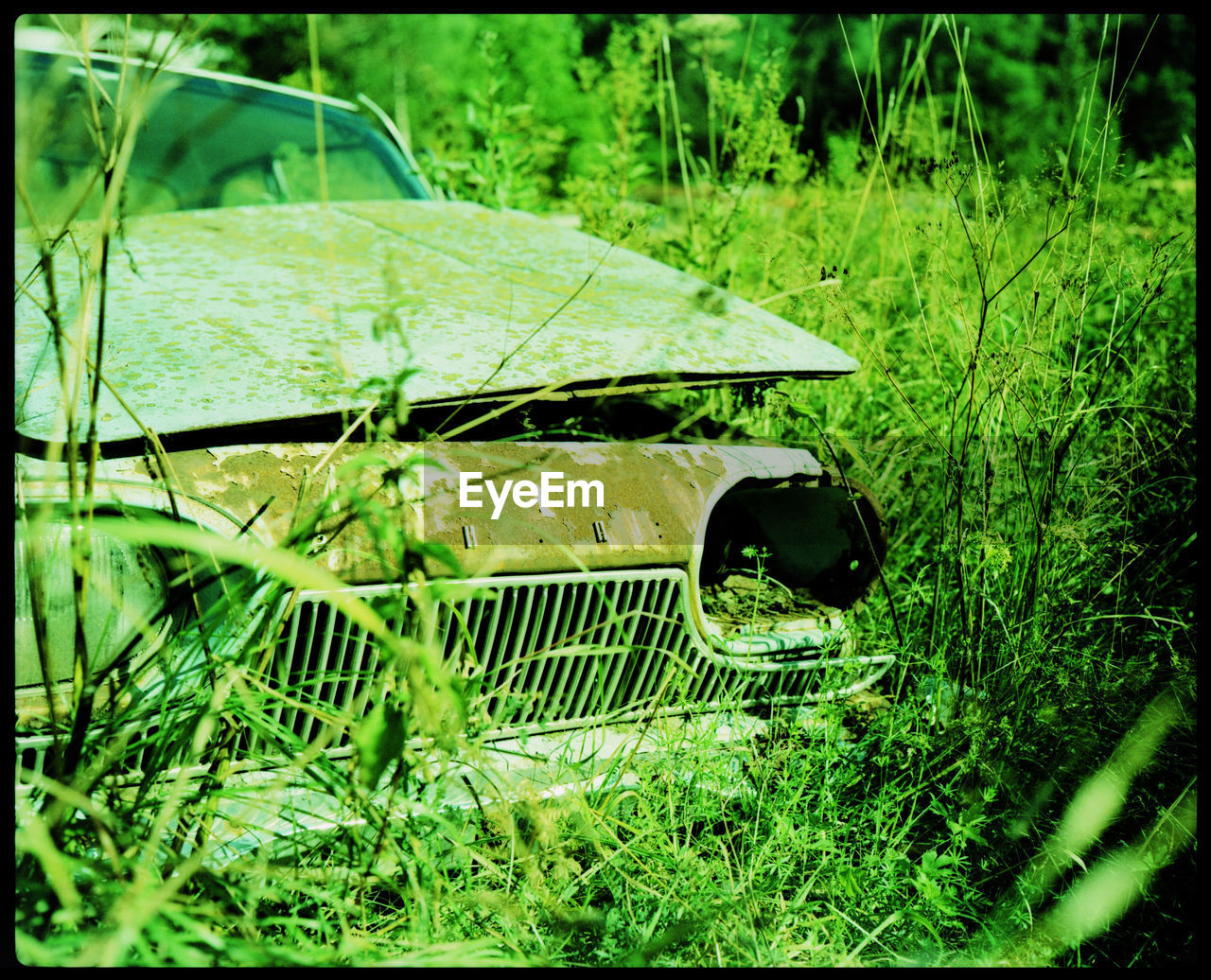 At the Magical Car Cemetery of Båstnäs Abandoned Analogue Photography Bushes Båstnäs Car Cemetery Cars Forrest History Industry Machines Magic Nature Nature Taking Over Outdoors Past Plants Plaubel Makina 67 Rust Scrap Scrap Metal Summer Sweden Trip Xpro