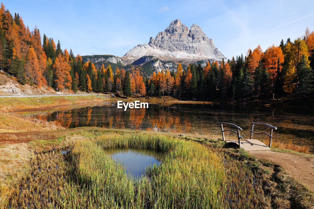 Scenic view of lake by trees against sky