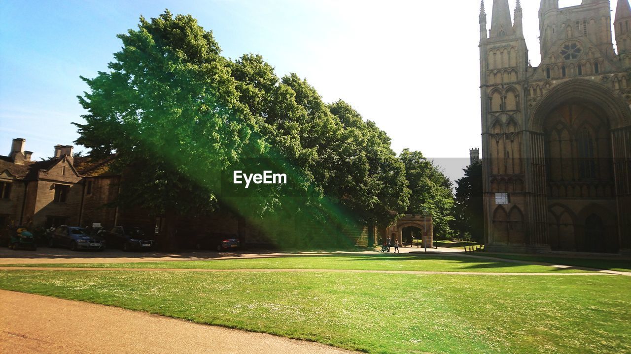 LAWN IN FRONT OF BUILDING