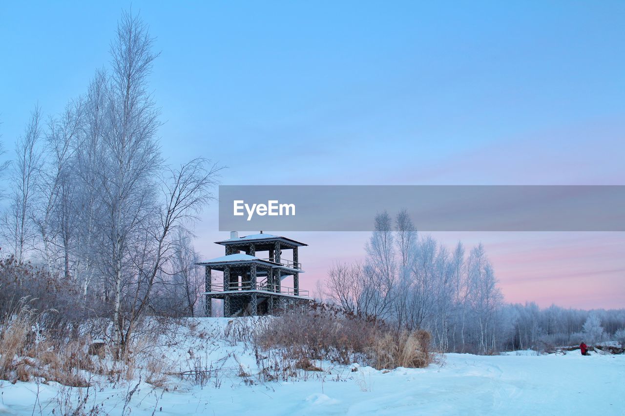 LOW ANGLE VIEW OF TREES ON SNOW COVERED TREE AGAINST SKY