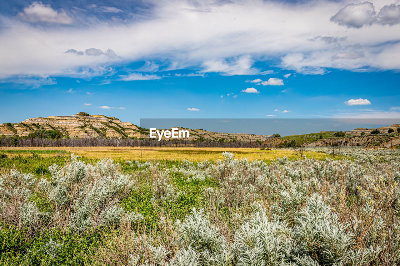 SCENIC VIEW OF LAND AGAINST SKY