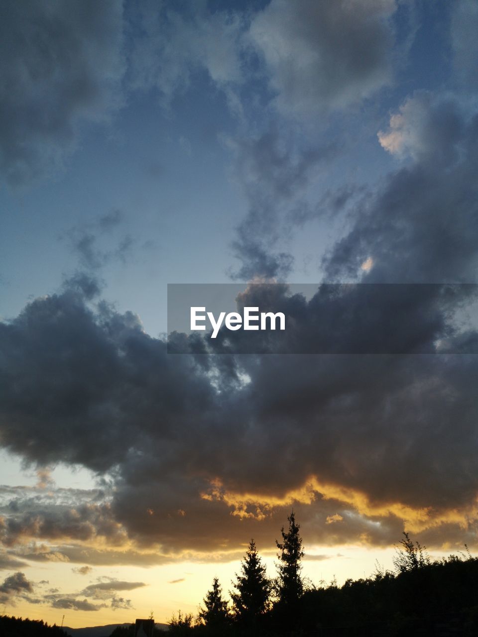 LOW ANGLE VIEW OF SILHOUETTE TREE AGAINST SKY DURING SUNSET