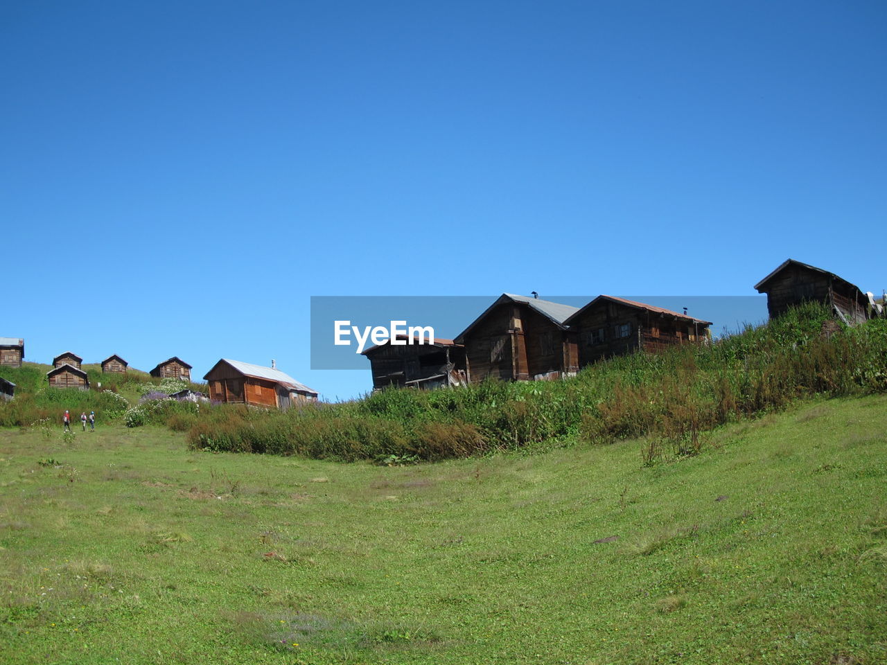 Houses on field against clear blue sky