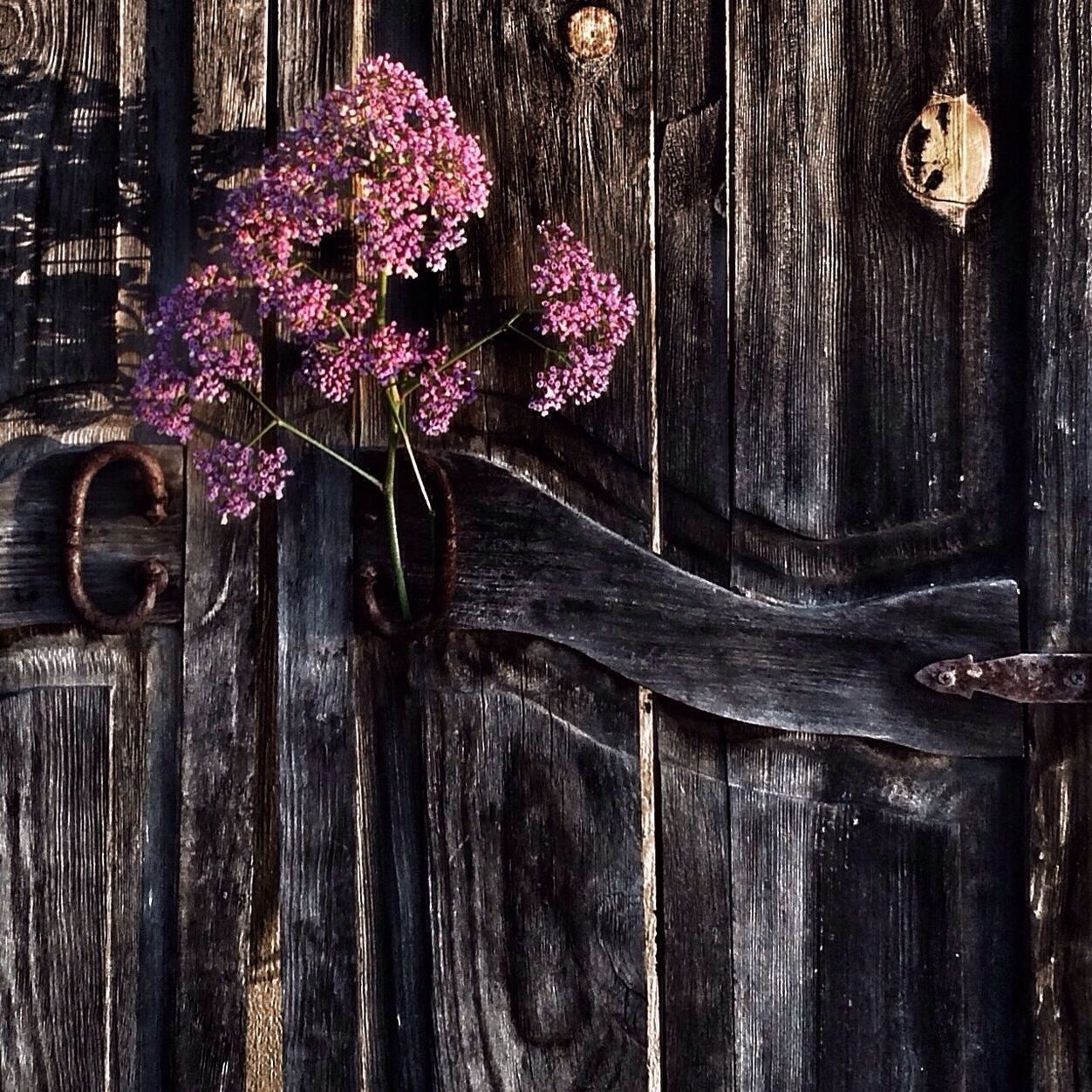 CLOSE-UP OF WOODEN PLANKS