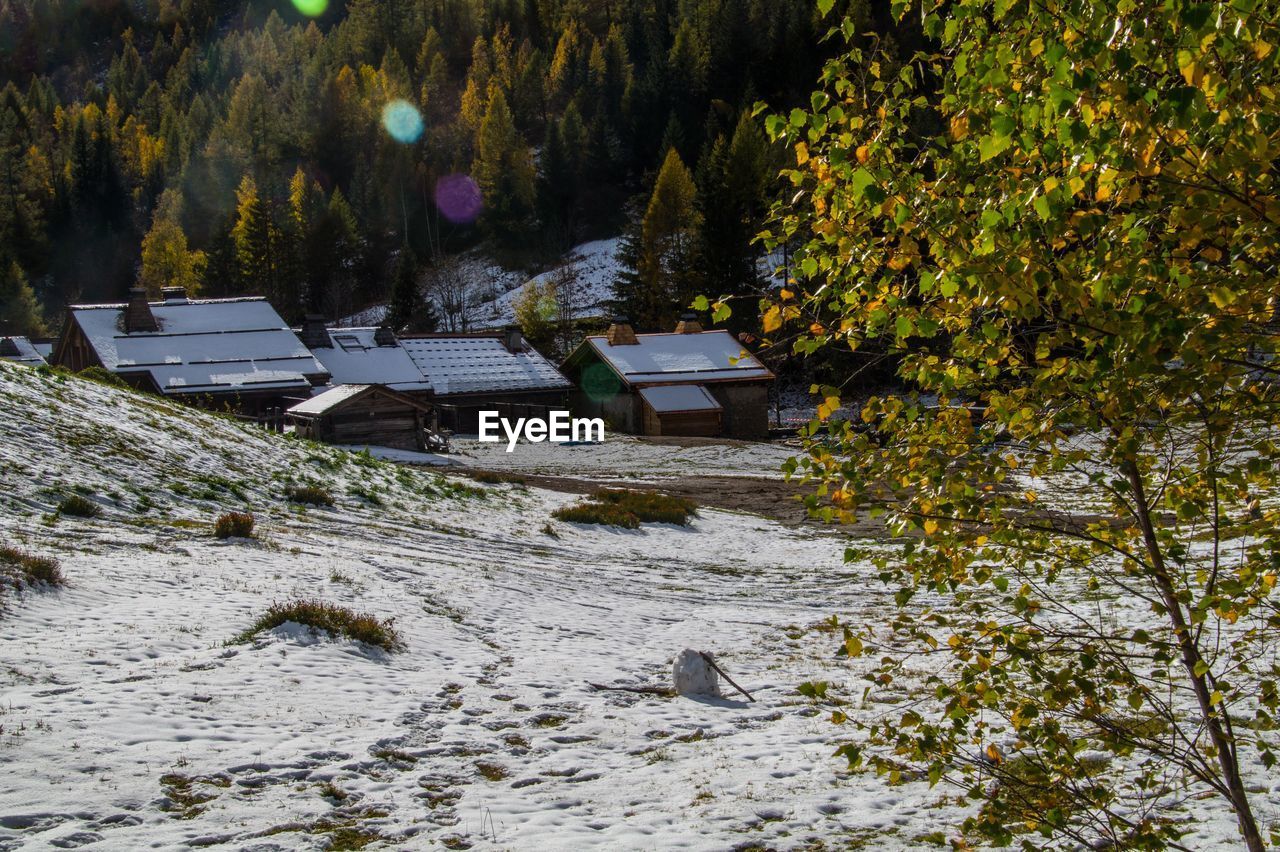 Scenic view of snow covered land during autumn