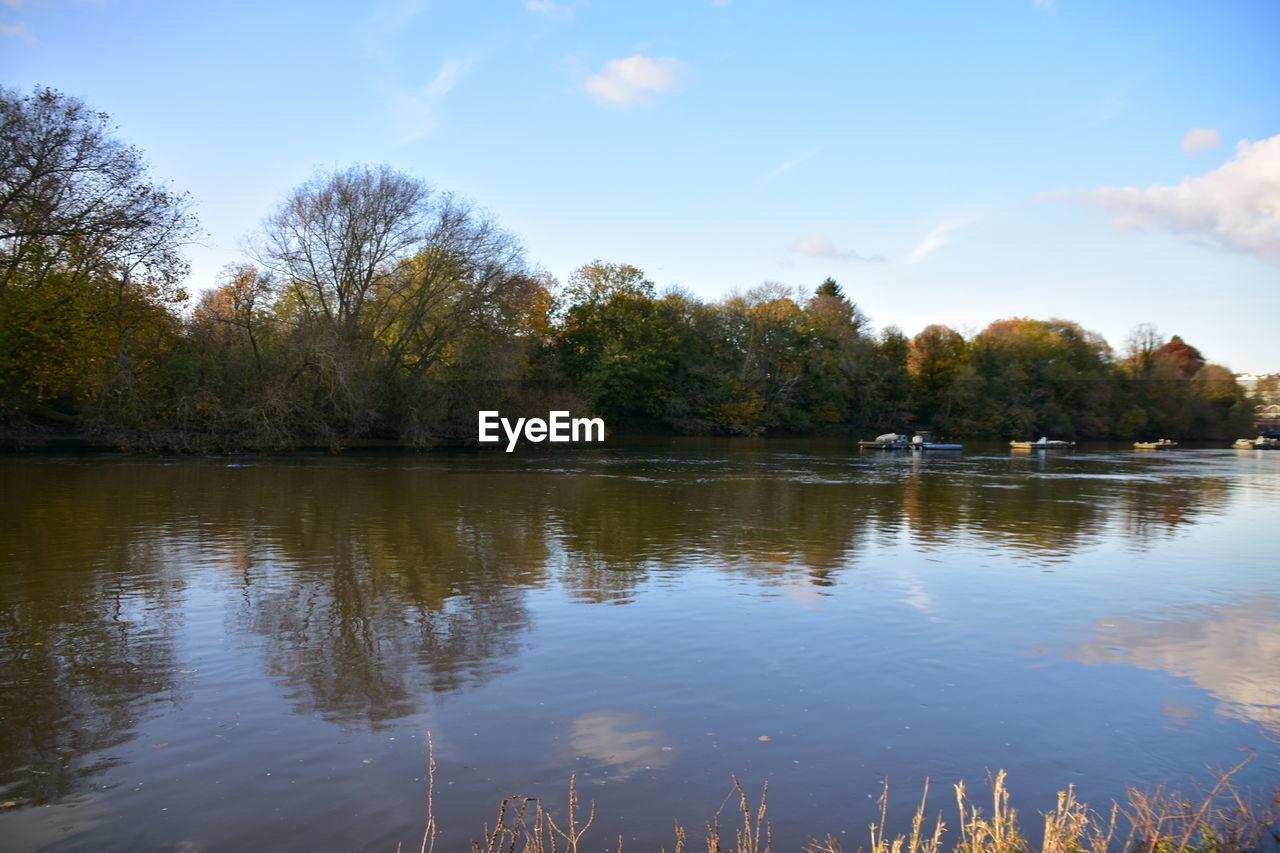 TREES BY LAKE AGAINST SKY