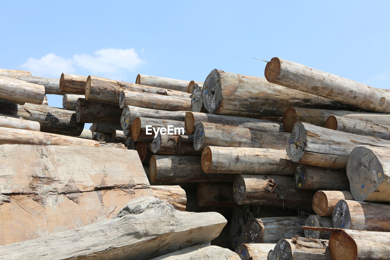 LOW ANGLE VIEW OF STACK OF LOGS AGAINST SKY