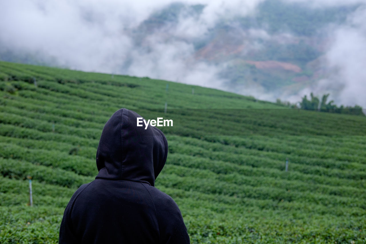 Rear view of man standing at agricultural field