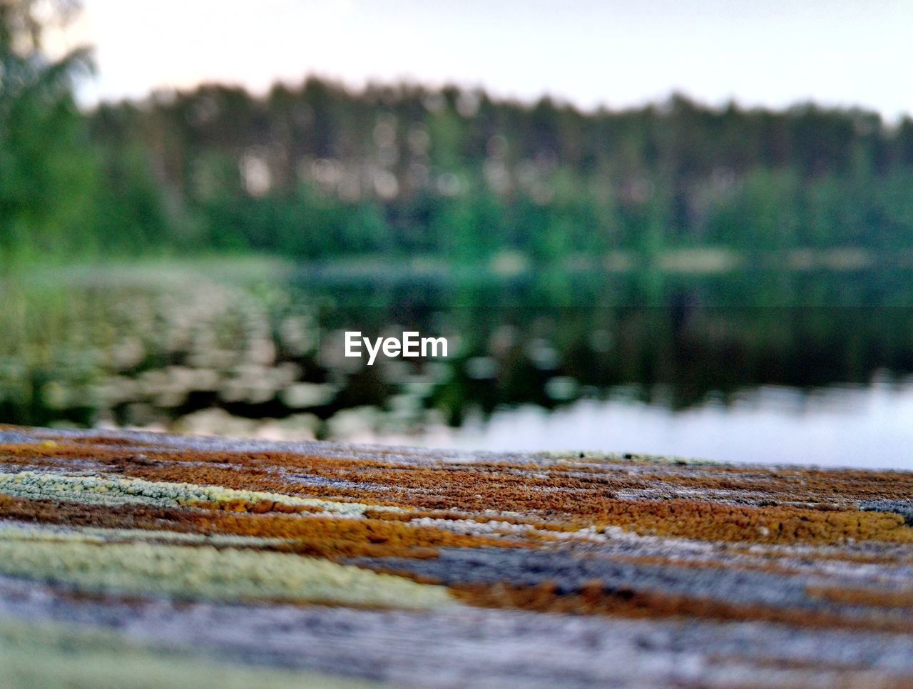 Surface level of water on landscape