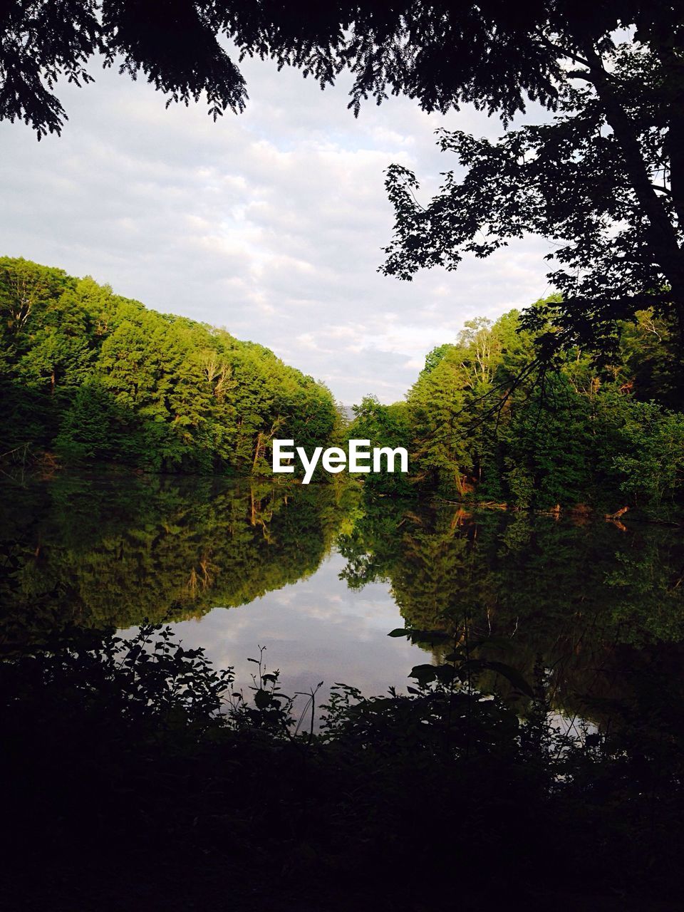 Lush foliage reflecting in small lake