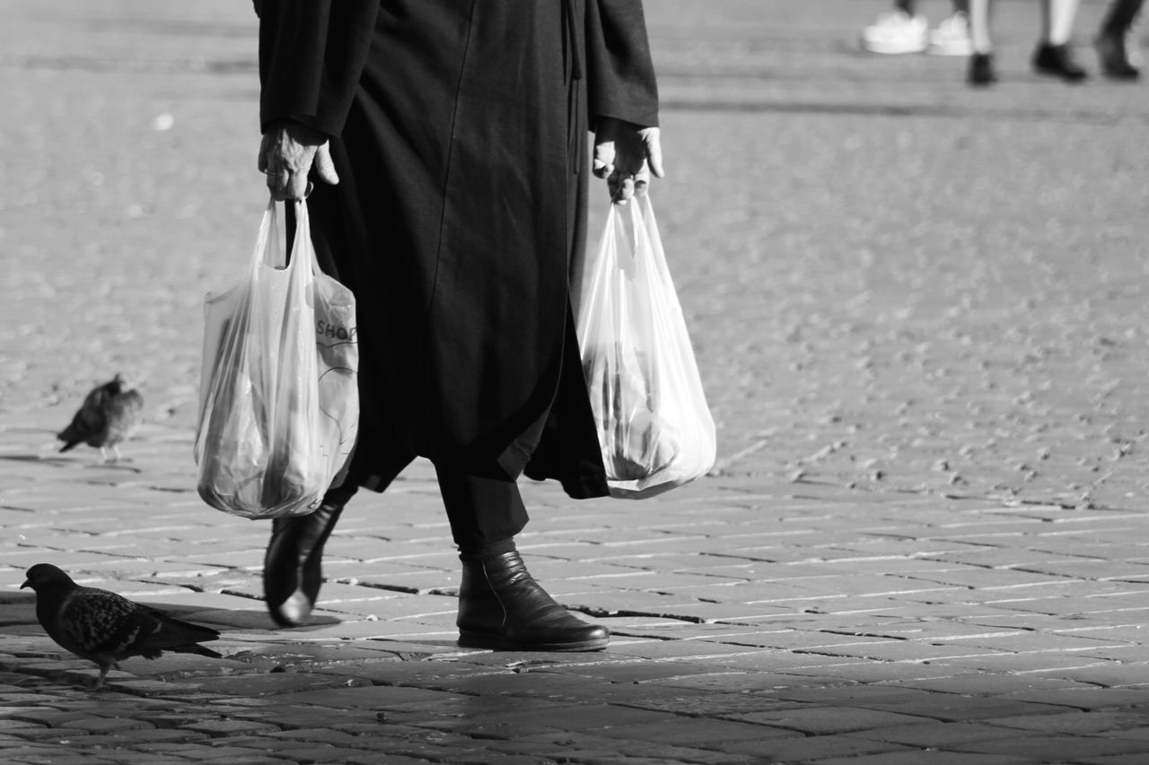 Pigeons by person with plastic bags walking on footpath