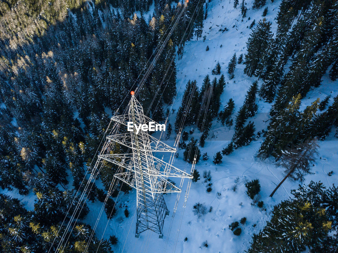 High angle view of trees and power line on snow covered land