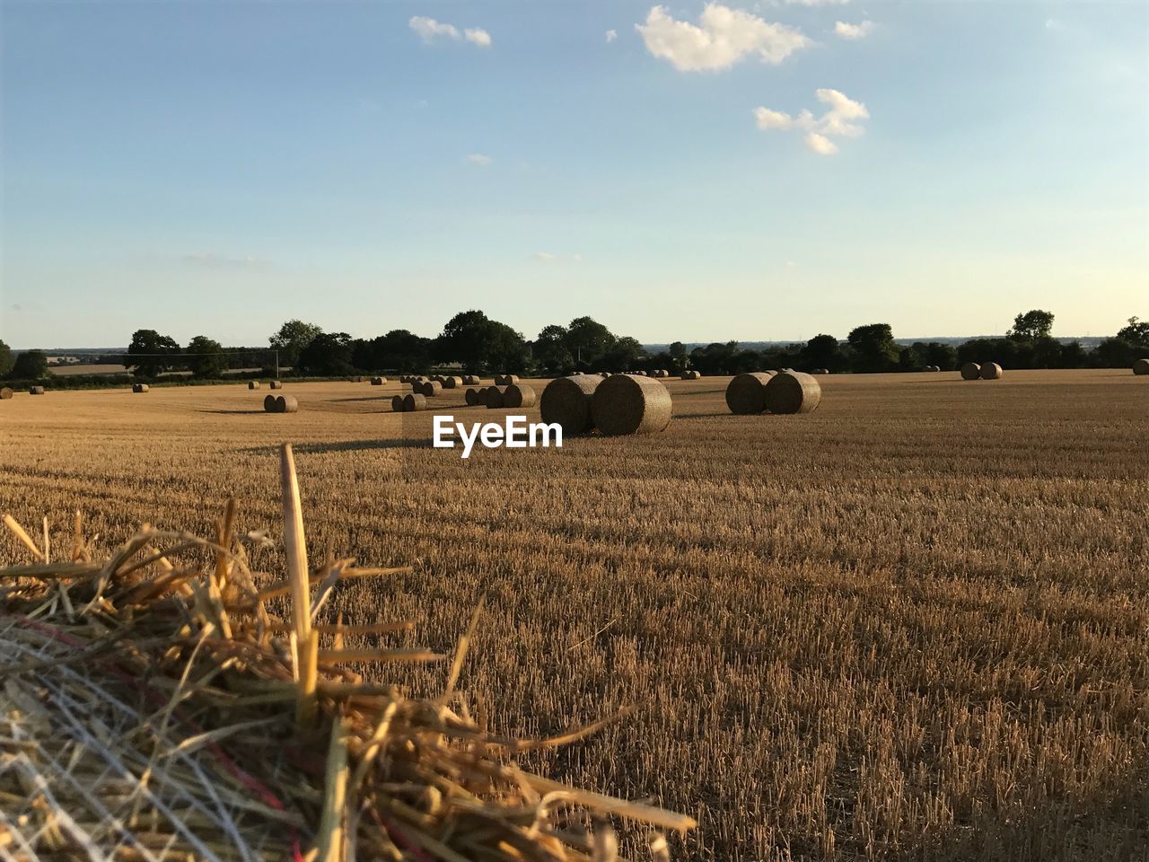 Hay bales on field against sky