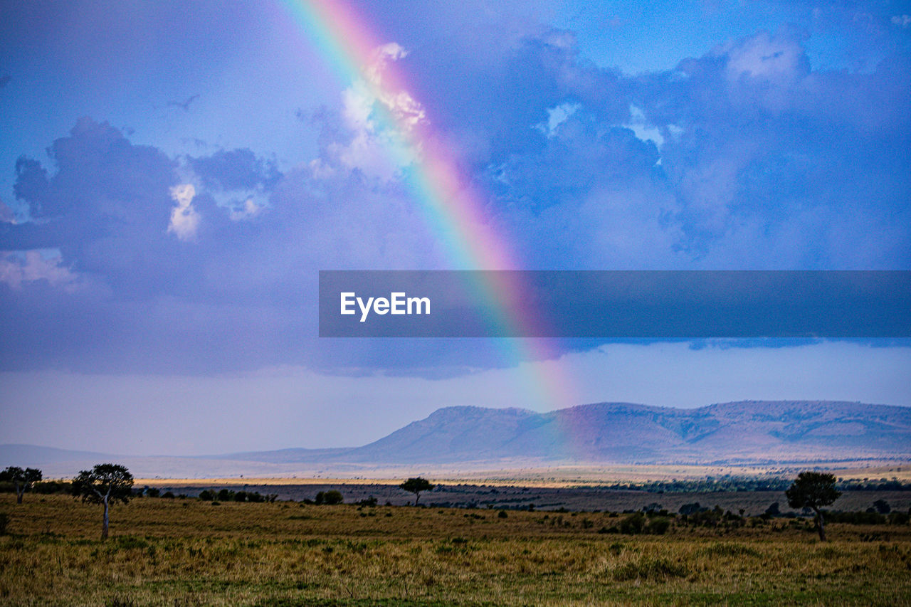 rainbow, environment, landscape, sky, beauty in nature, cloud, scenics - nature, multi colored, nature, land, mountain, horizon, no people, tranquility, plant, field, natural phenomenon, dramatic sky, travel destinations, light - natural phenomenon, grass, outdoors, spectrum, rural scene, blue, tranquil scene, water, travel, animal wildlife, non-urban scene, plain, idyllic, grassland, storm, dusk, prairie, tourism, animal, wet