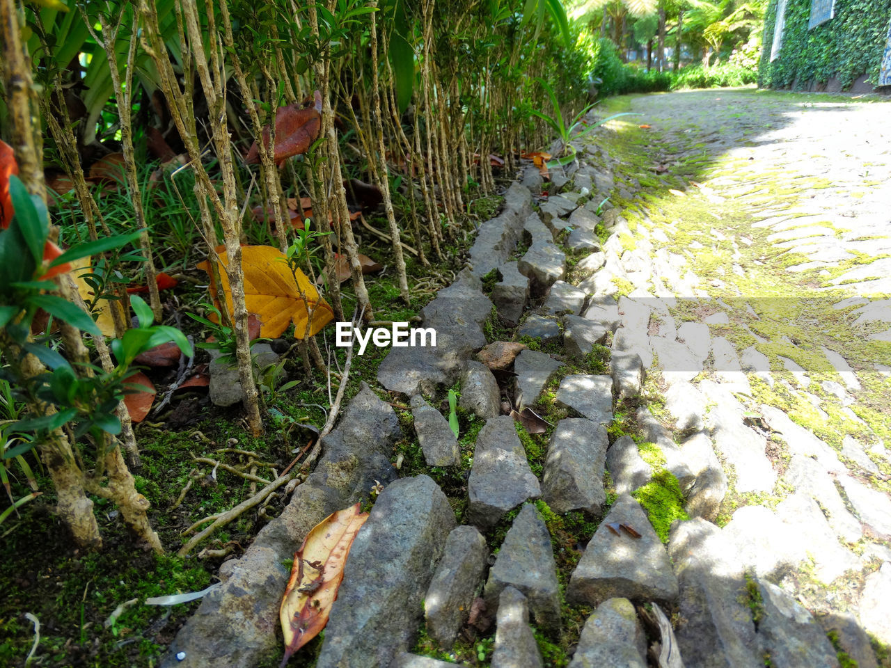 VIEW OF PLANTS BY RIVER