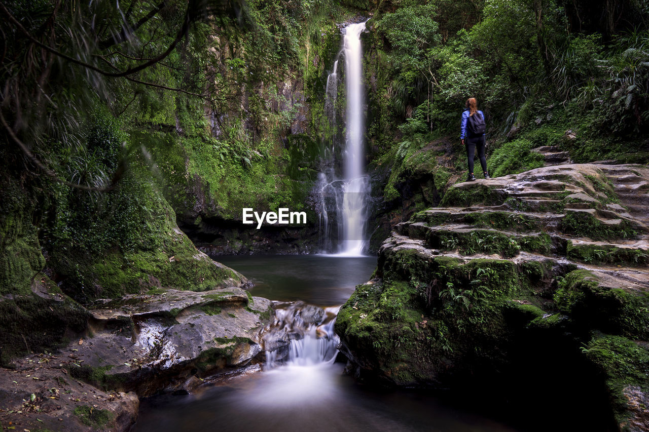 Rear view of woman looking at waterfall in forest