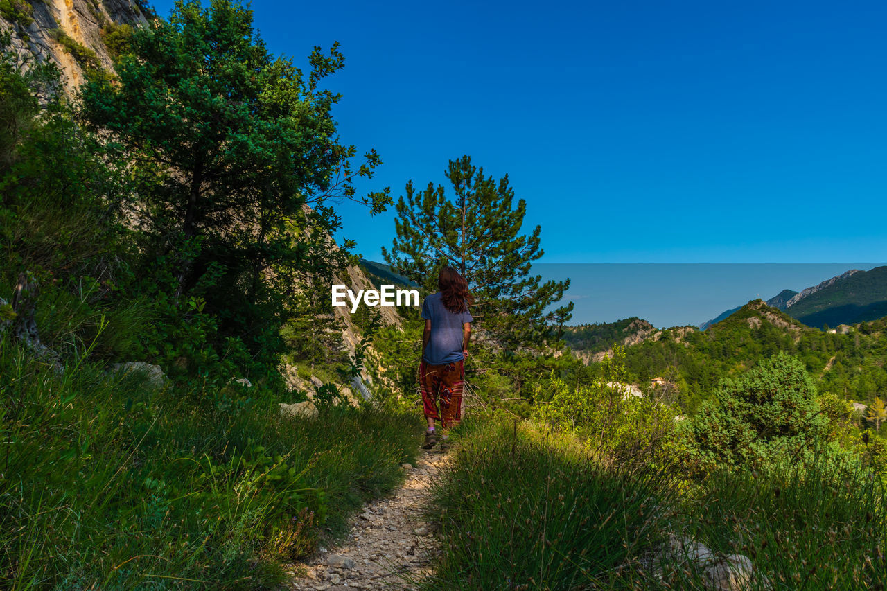 Rear view of woman walking on trail amidst trees against blue sky