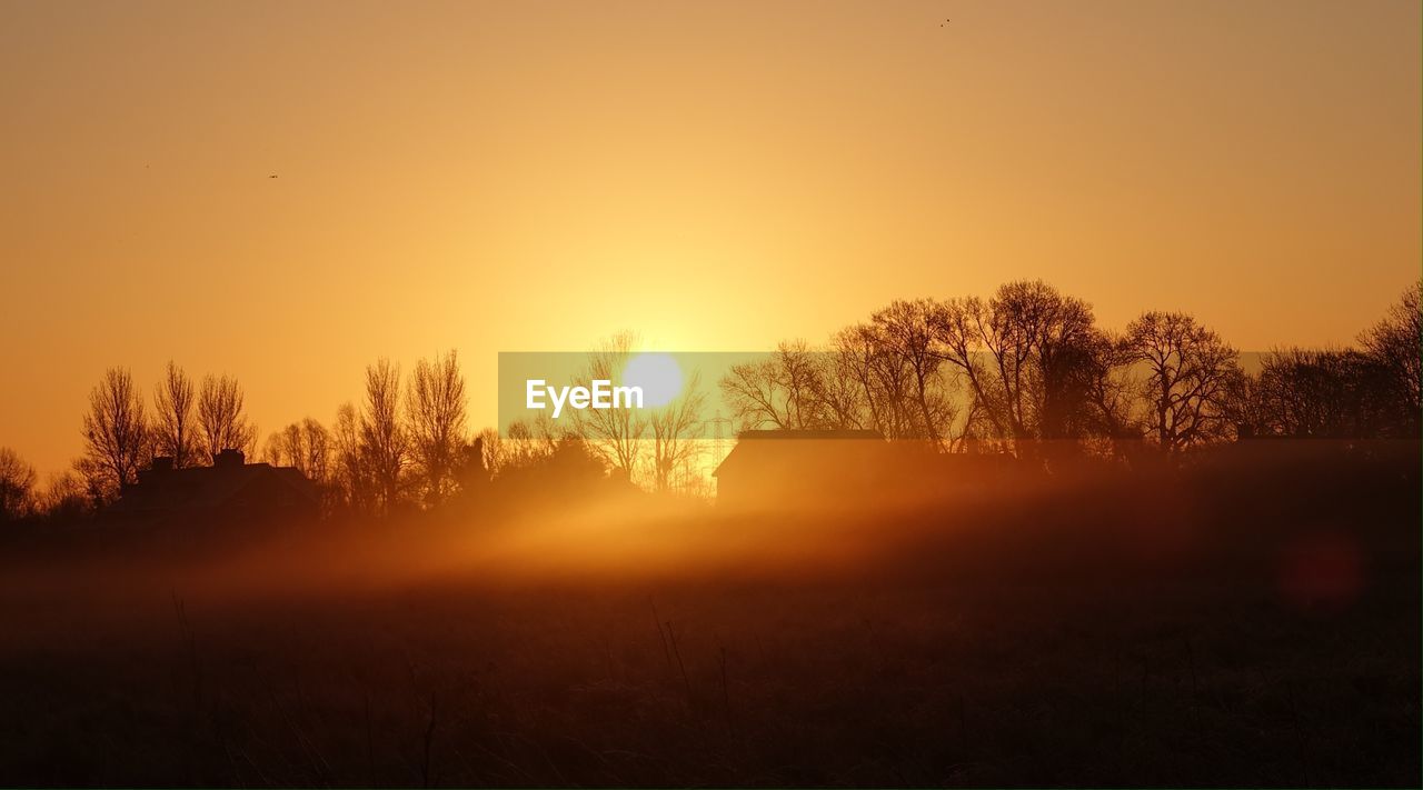 SILHOUETTE TREES ON FIELD DURING SUNSET