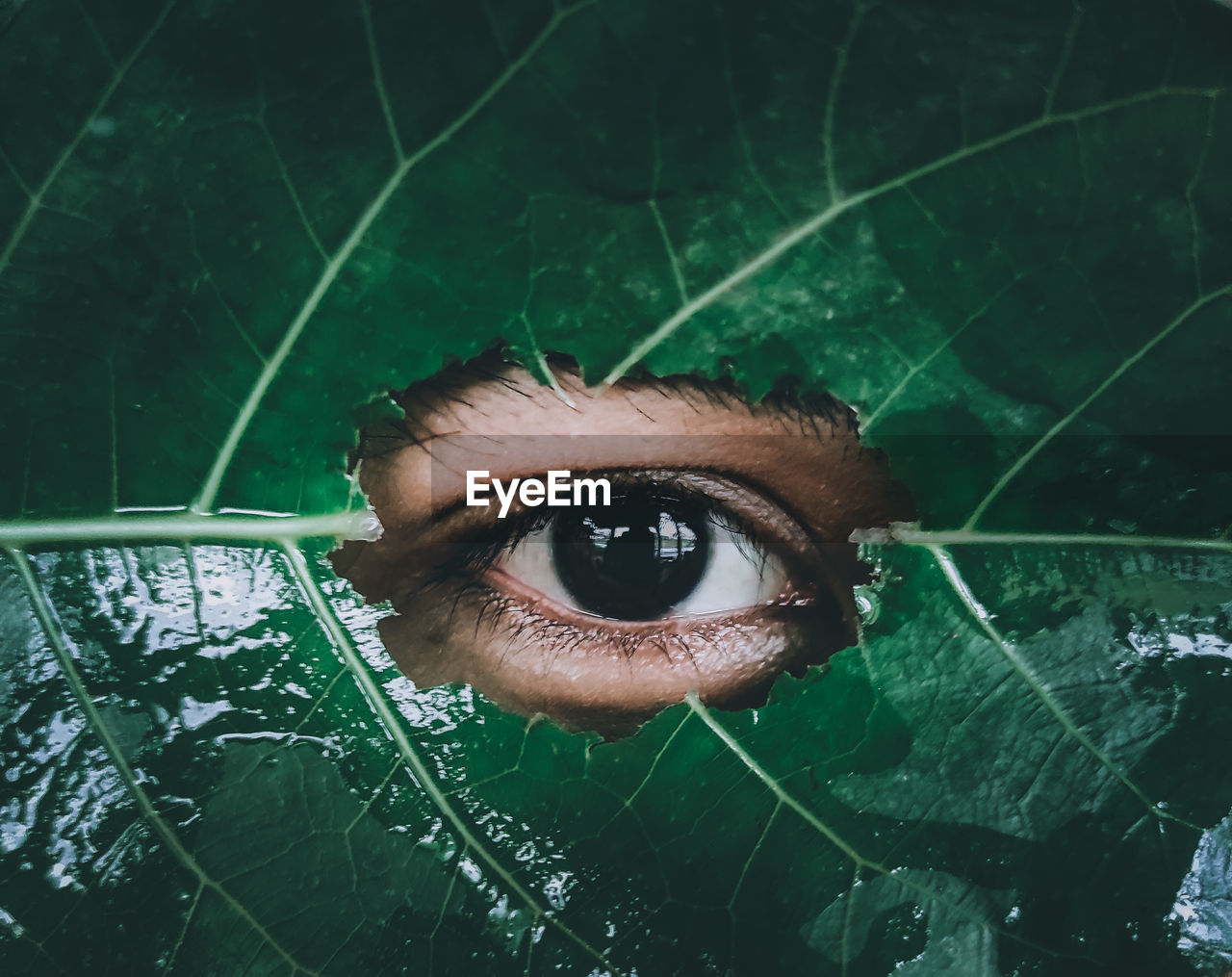 CLOSE-UP PORTRAIT OF WOMAN WITH GREEN EYES