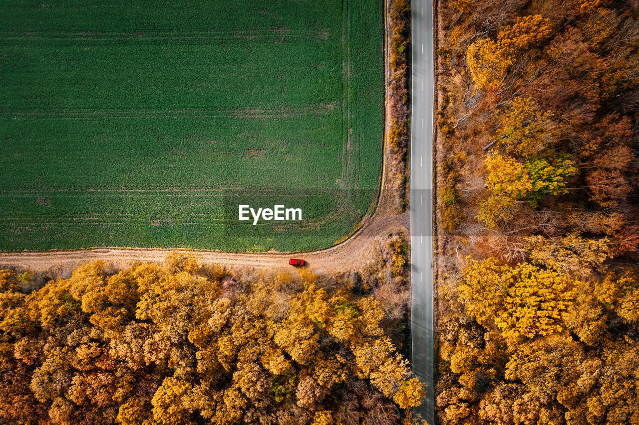 Aerial view of car by road and forest