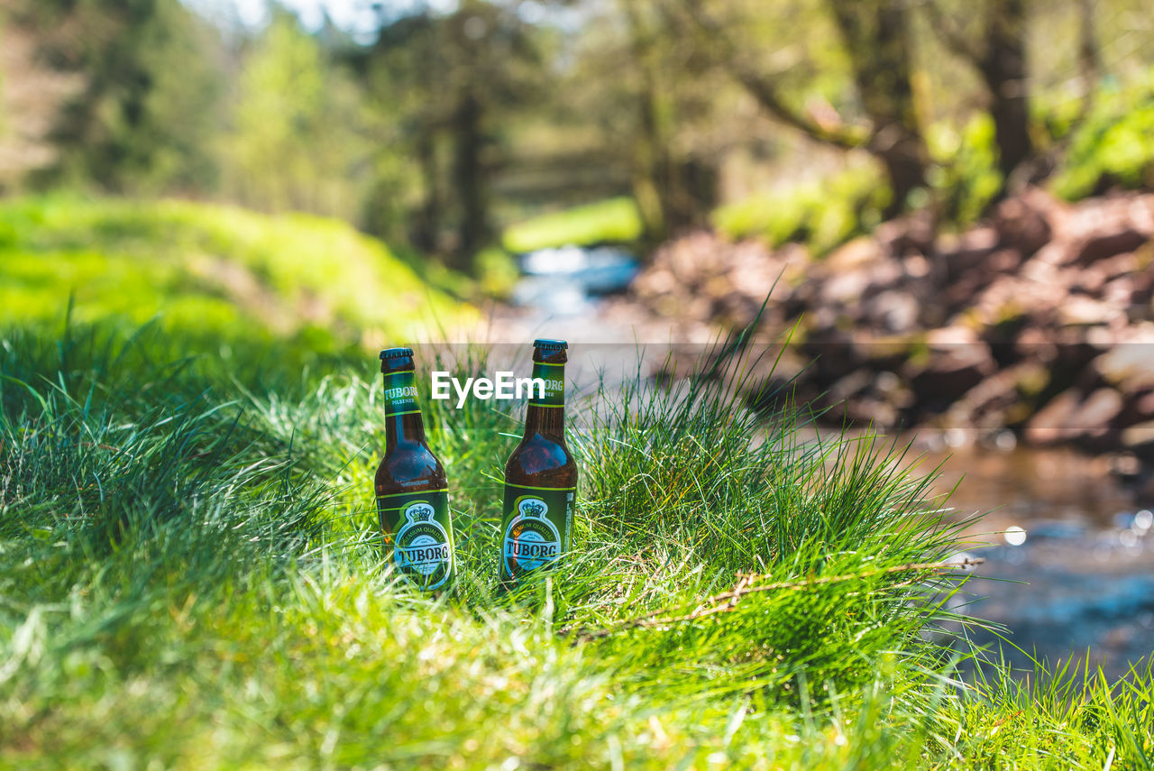 CLOSE-UP OF BOTTLE ON GRASS