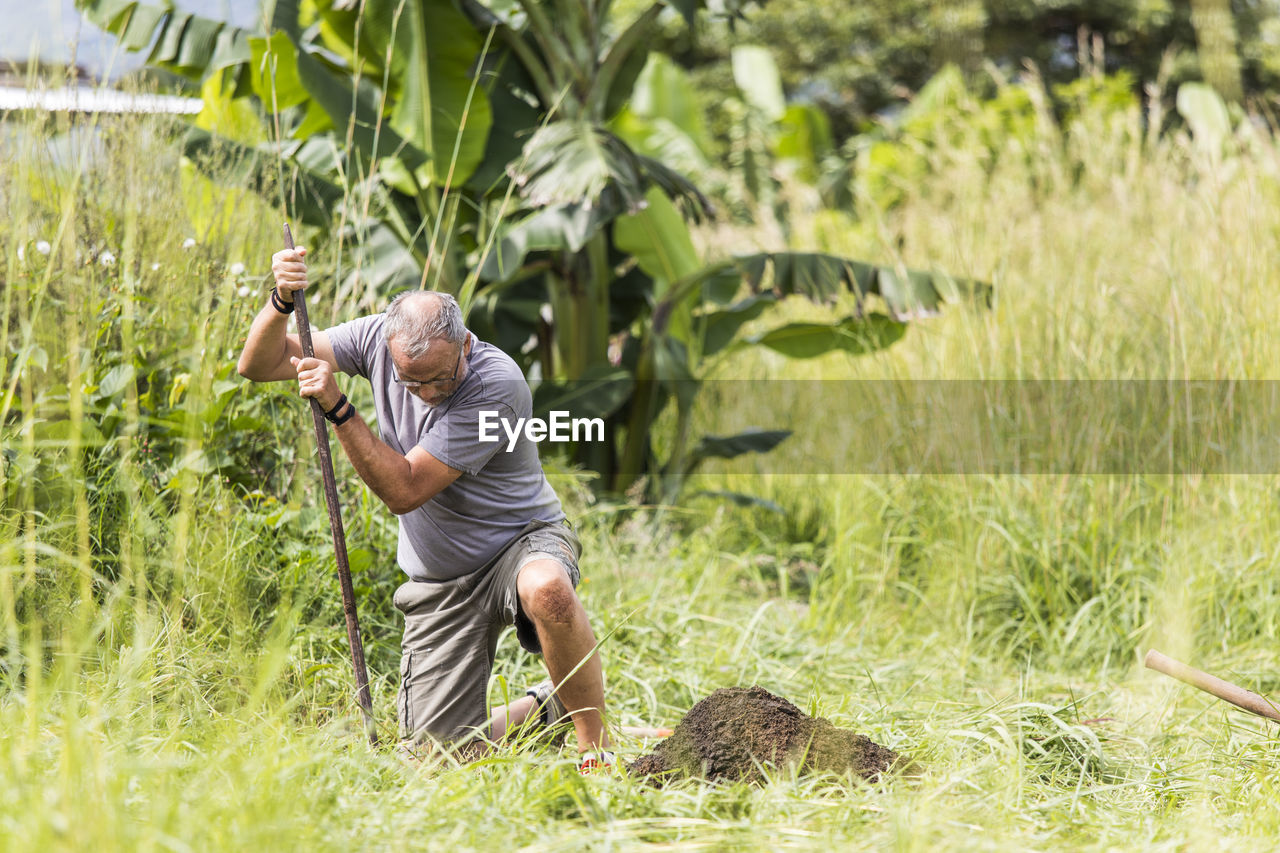 Elderly man digging hole outdoors.