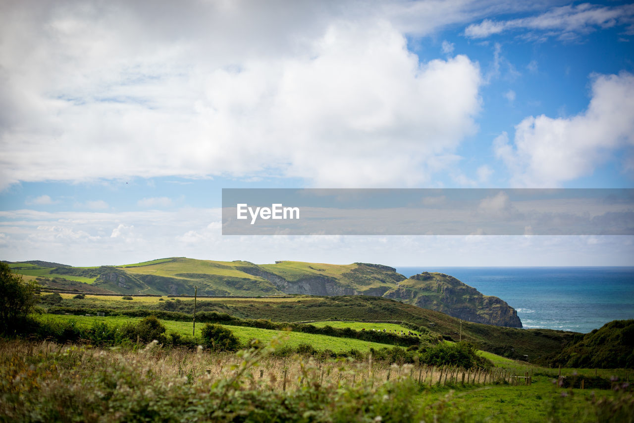 Scenic view of landscape by sea against sky