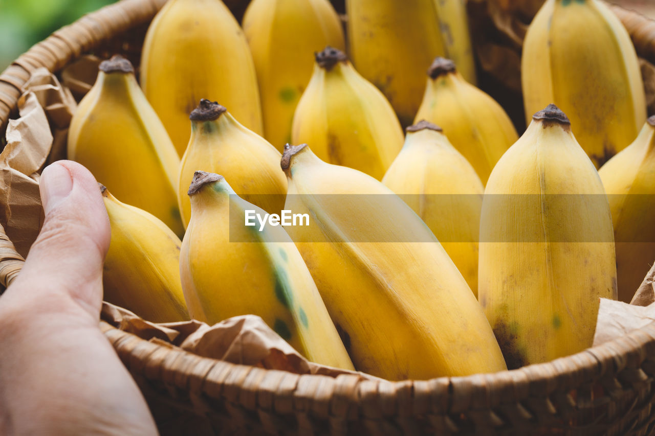 Close-up of fresh bananas