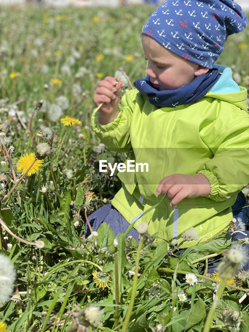 Boy holding plants on field
