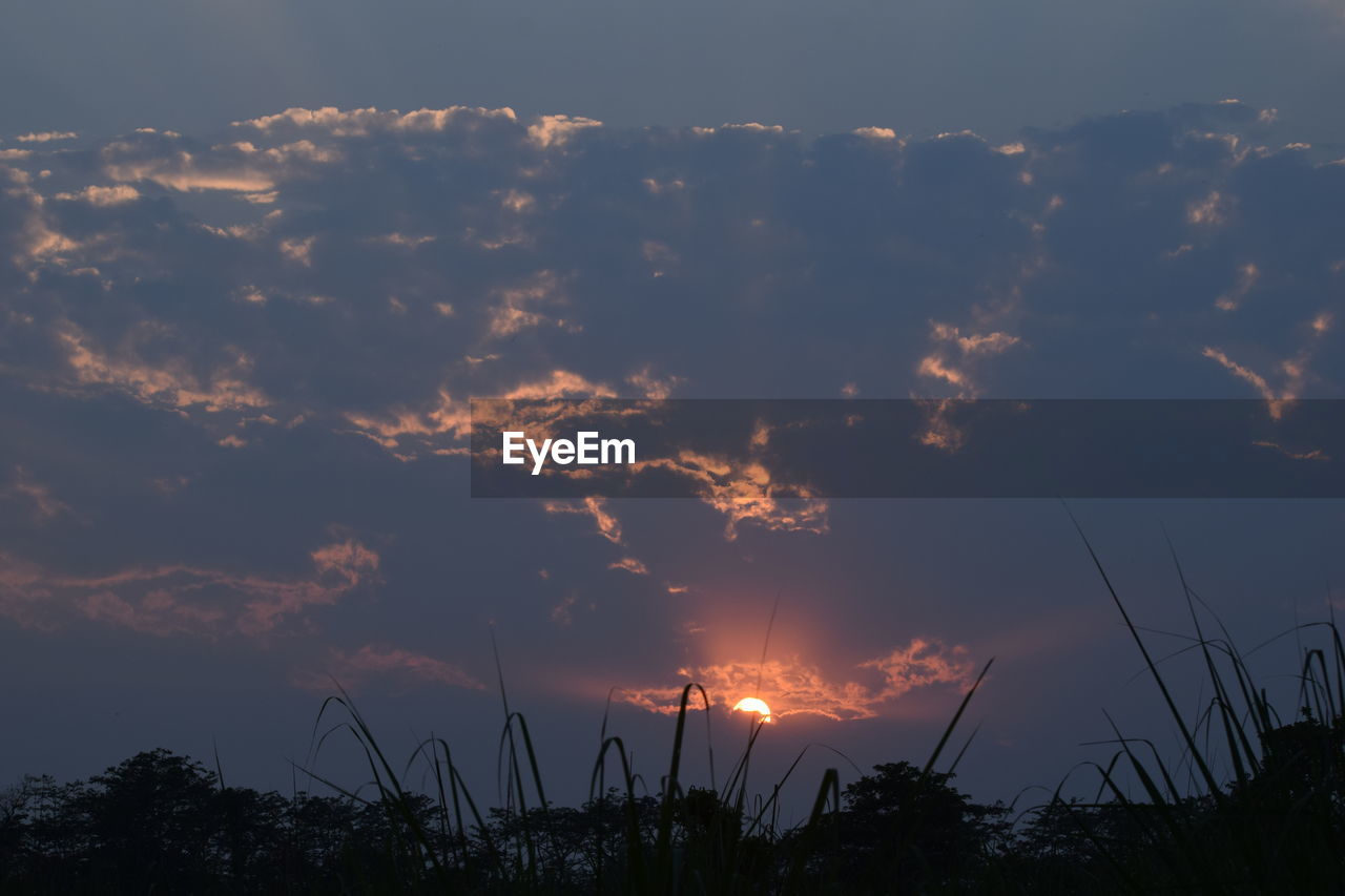 LOW ANGLE VIEW OF SILHOUETTE TREE AGAINST SKY DURING SUNSET