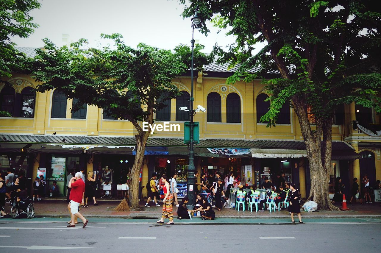 PEOPLE ON STREET AGAINST TREES