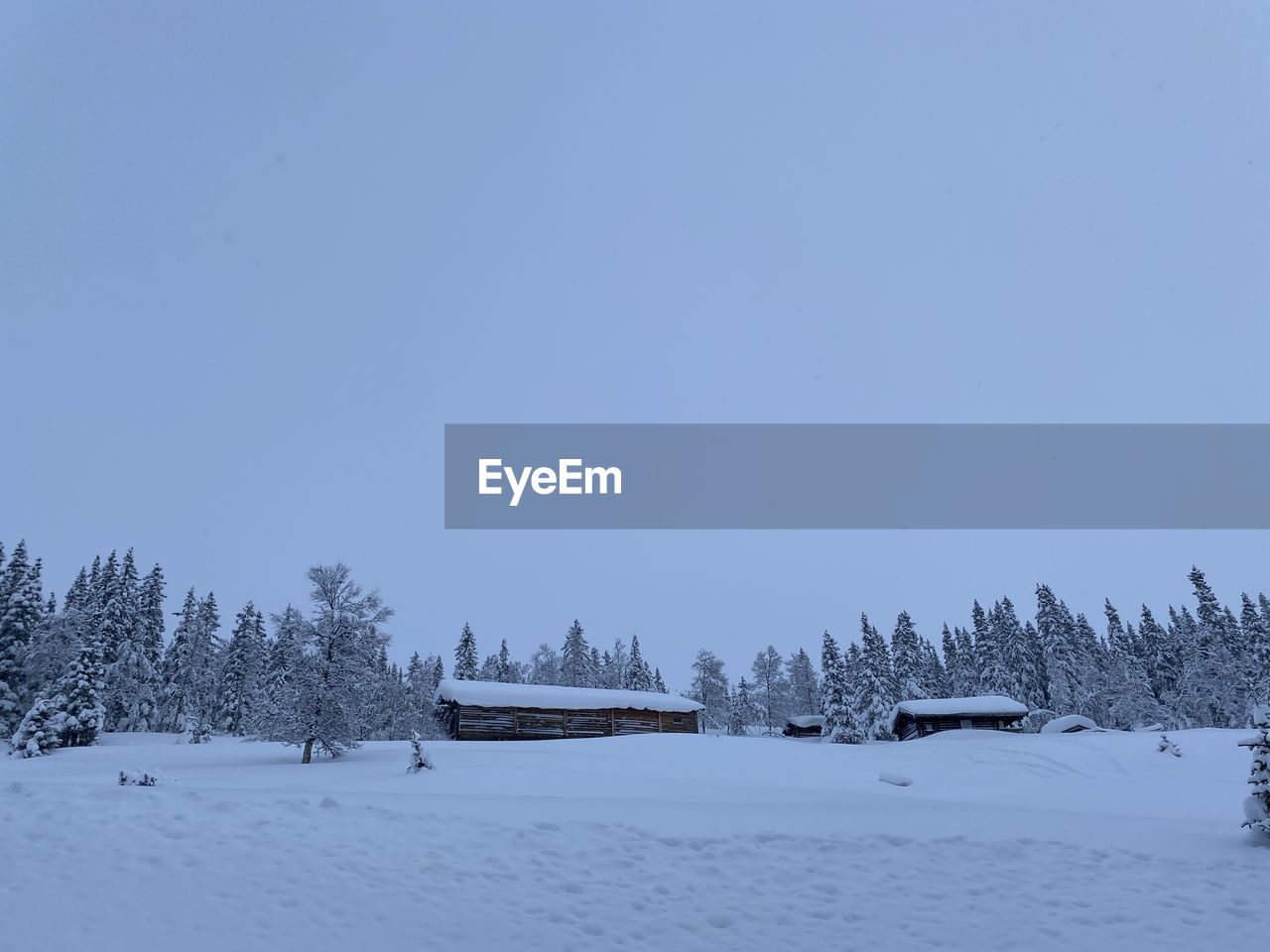 SCENIC VIEW OF SNOW COVERED FIELD AGAINST SKY