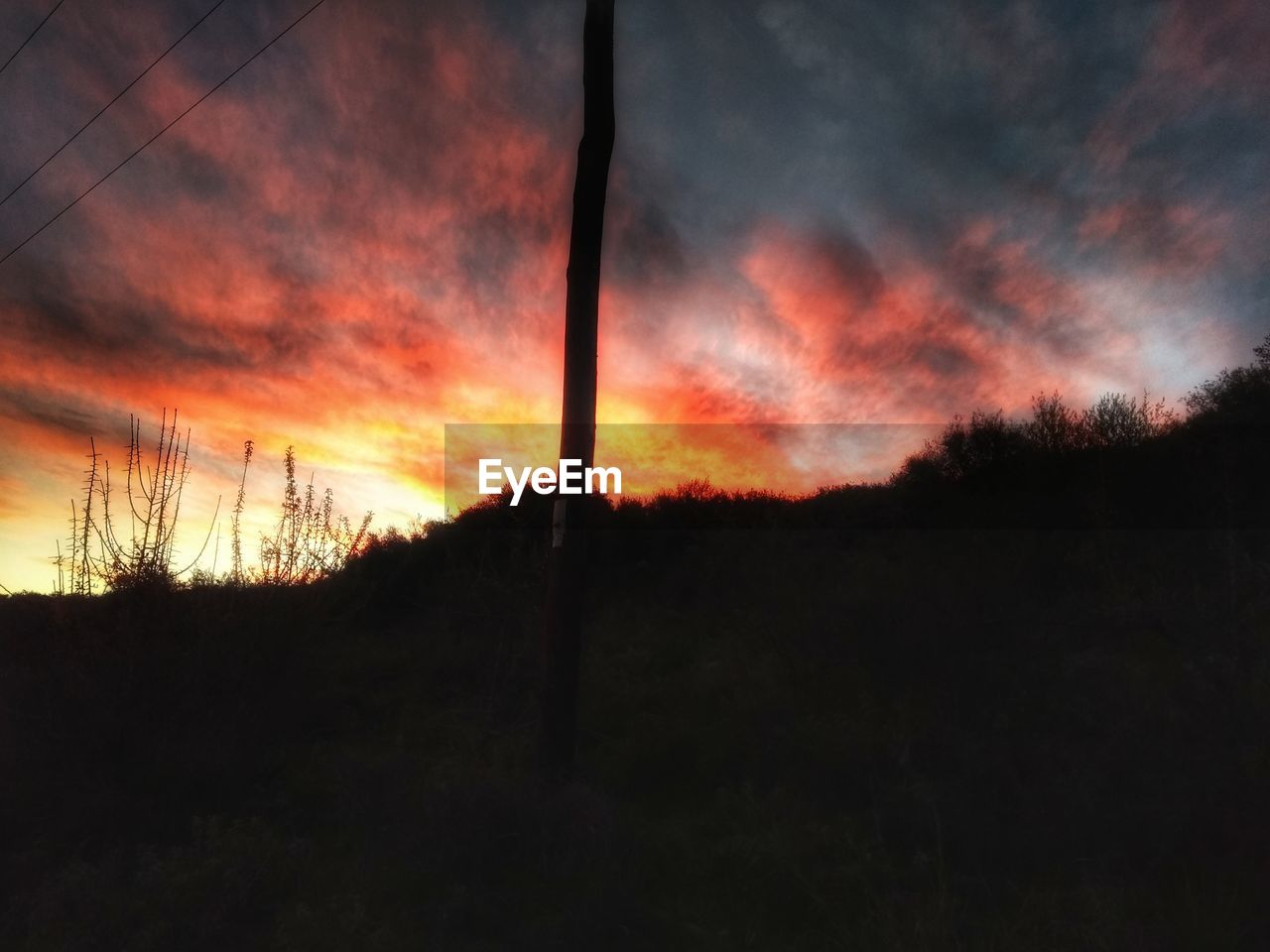 LOW ANGLE VIEW OF DRAMATIC SKY OVER SILHOUETTE TREES