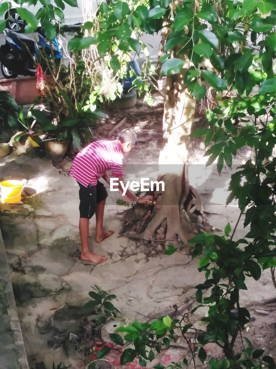 FULL LENGTH REAR VIEW OF WOMAN STANDING BY PLANTS