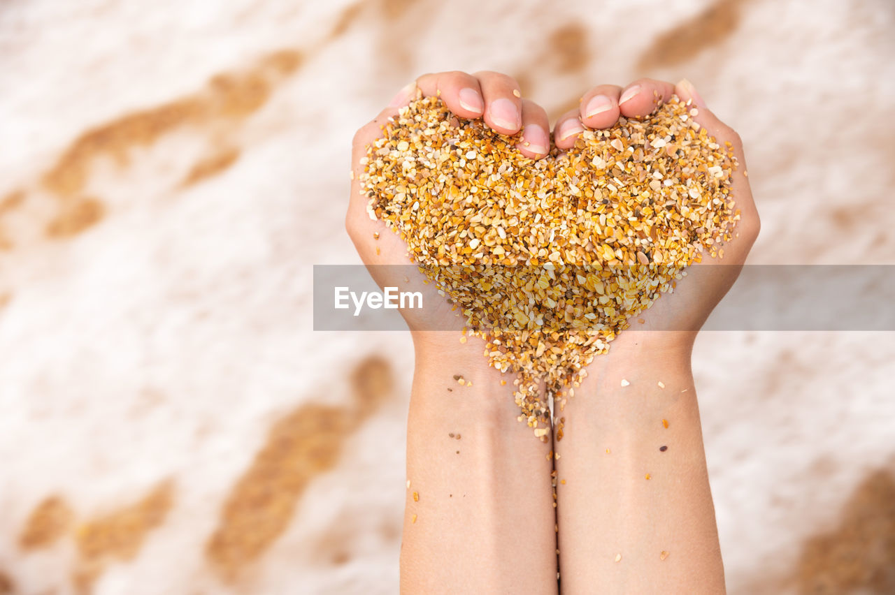 Soft heart shapes of female hands over a beach full of sand. symbol of love for the sea