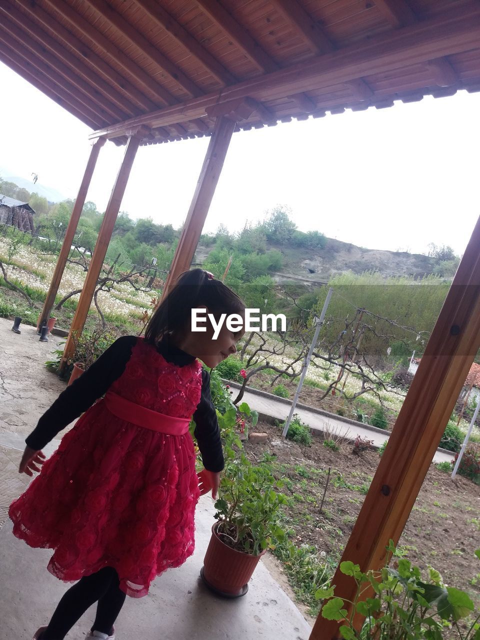 SIDE VIEW OF A GIRL LOOKING AT FARM