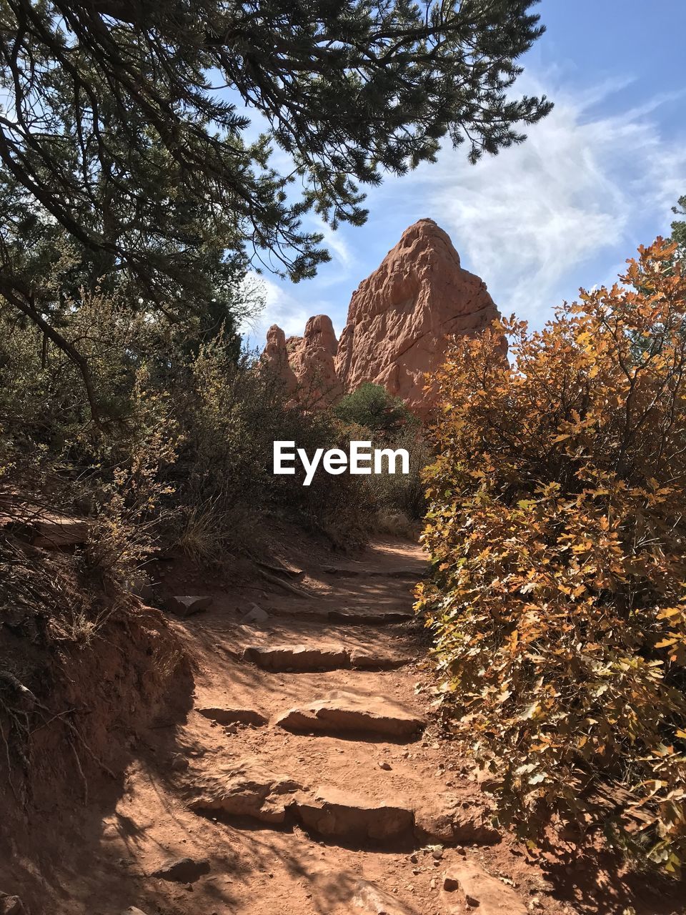 Plants growing on rocks against sky