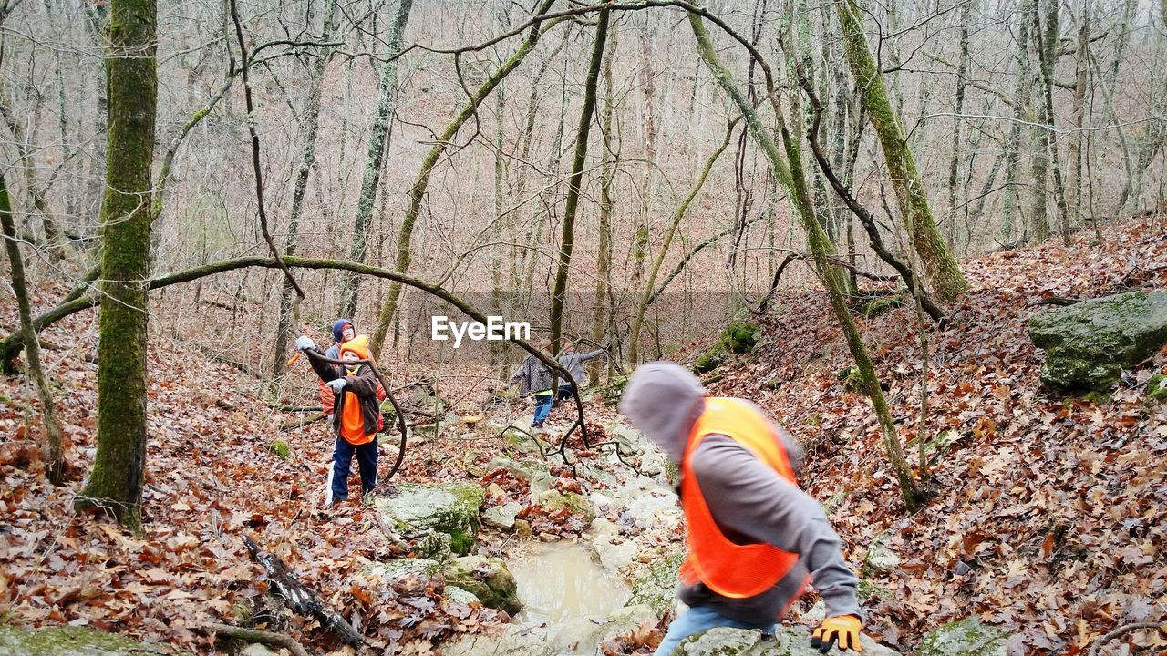 People hiking in forest