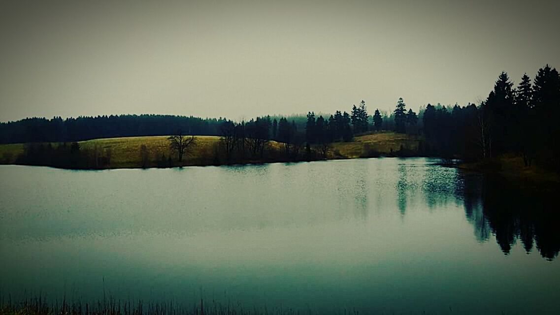 REFLECTION OF TREES IN WATER