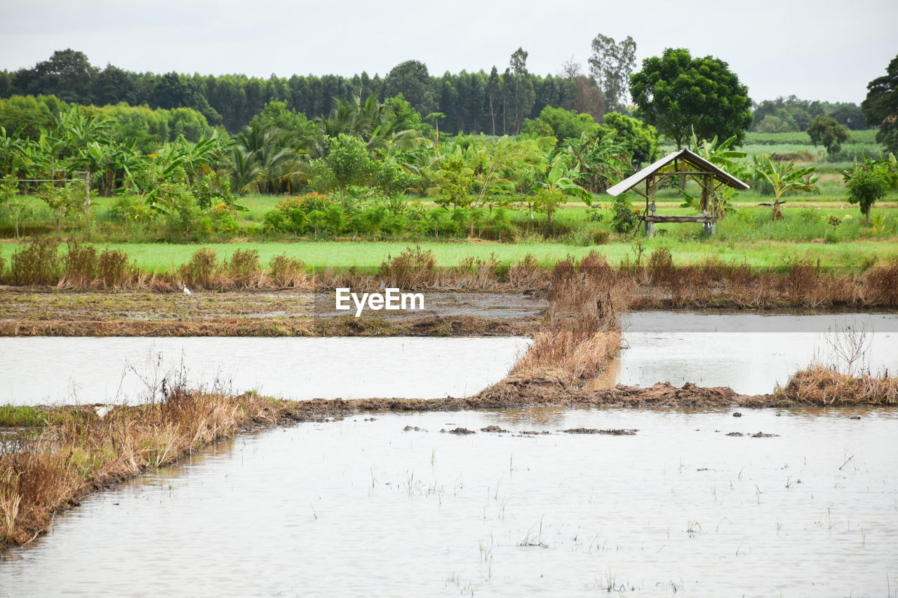 SCENIC VIEW OF LAKE AGAINST LANDSCAPE