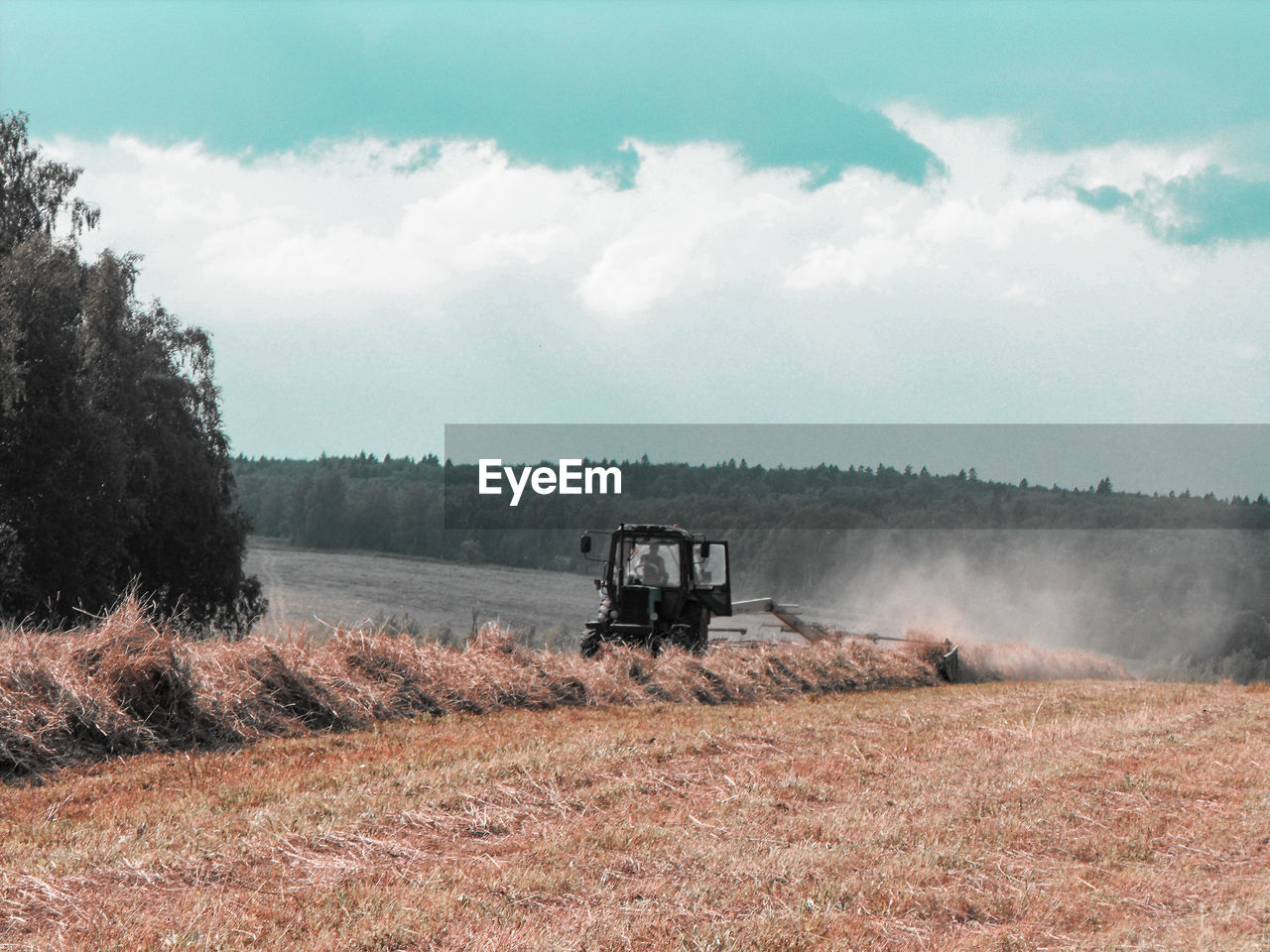 SCENIC VIEW OF FARM AGAINST SKY