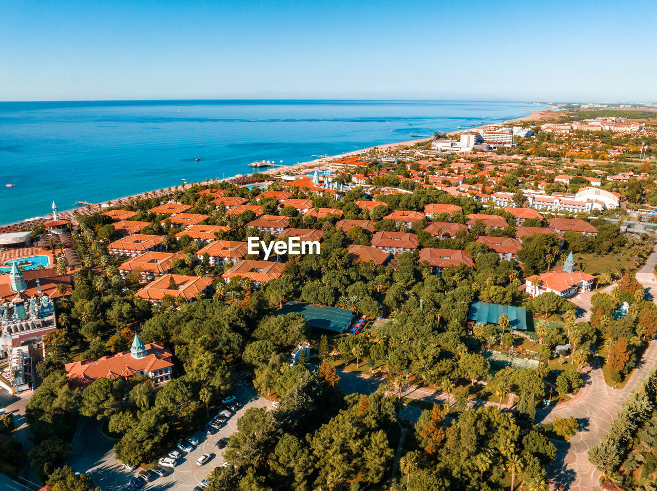 Luxurious beach resort with swimming pool and beach chairs and palm trees.