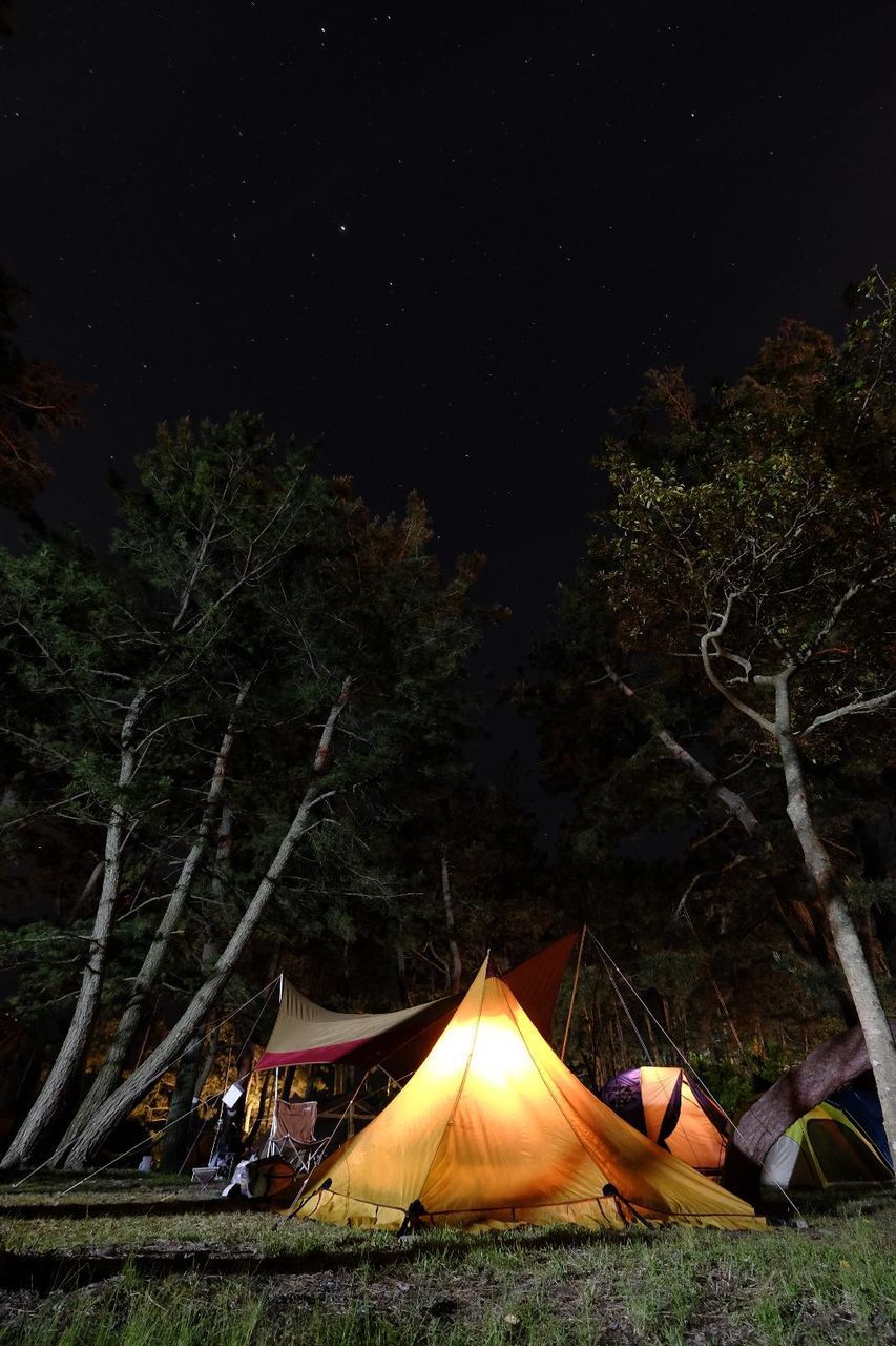 Campground in forest at night