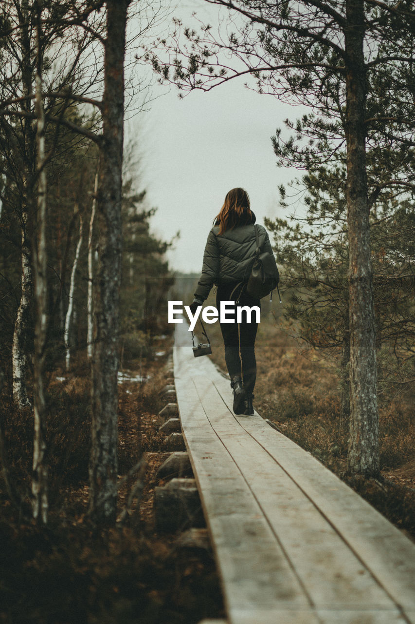 Rear view of woman walking amidst trees in forest