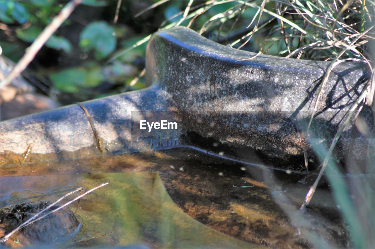 CLOSE-UP OF STREAM