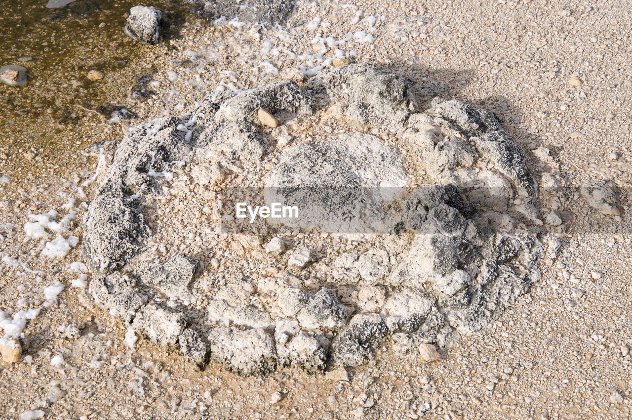 HIGH ANGLE VIEW OF STARFISH ON SAND