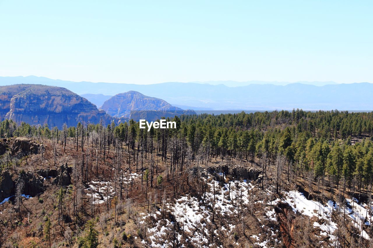 Scenic view of landscape against clear sky