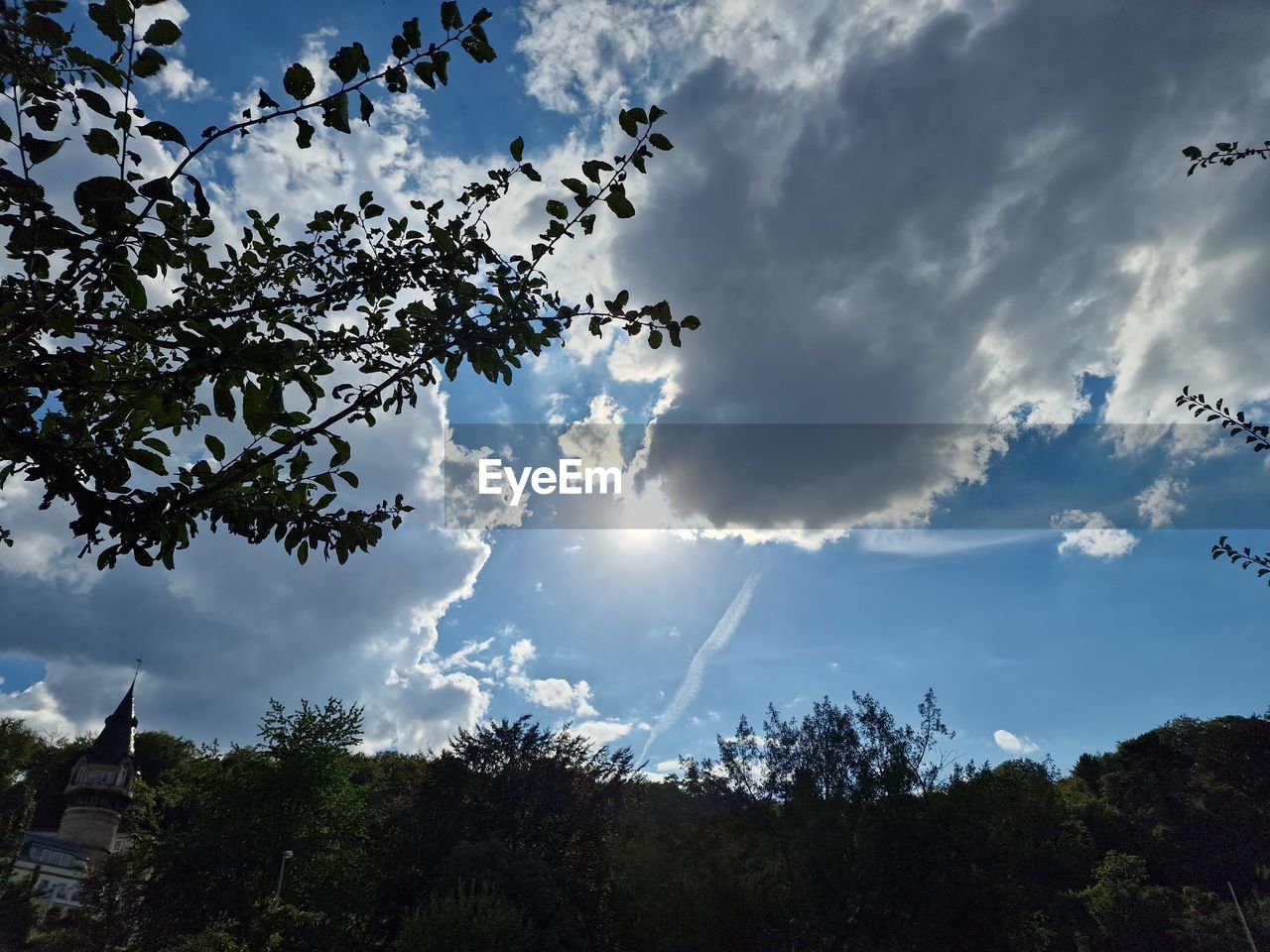 sky, nature, tree, cloud, plant, sunlight, beauty in nature, morning, low angle view, no people, environment, scenics - nature, outdoors, flower, landscape, tranquility, blue, silhouette, dusk, forest