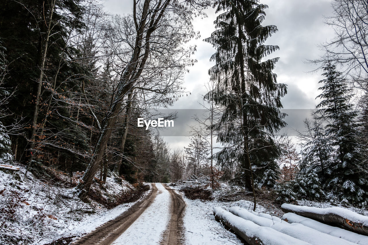 Snow covered road amidst trees in forest against sky
