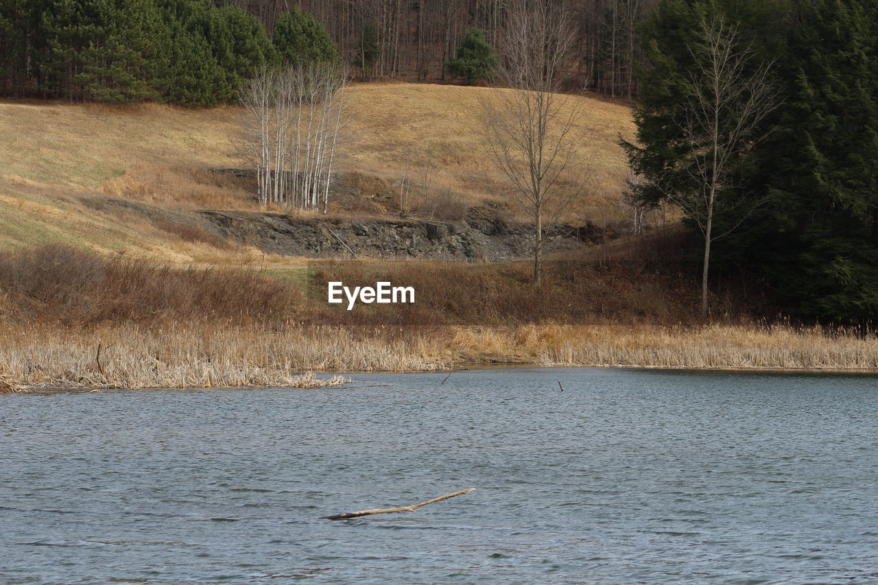 SCENIC VIEW OF RIVER WITH TREES IN BACKGROUND